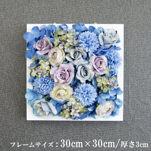 Ǌ|AW  EH[O[ tFCNO[ t[ ǖʗΉ EH[fR ǖ AW fBXvC CeA  XܑyPW124-ORI-30x30-WH Ǌ|Ebht[