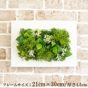 Ǌ|AW  EH[O[ tFCNO[ t[ ǖʗΉ EH[fR ǖ AW fBXvC CeA  XܑyPW170-CL-21x30-WH Ǌ|Ebht[