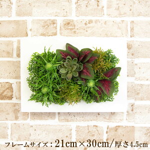 Ǌ|AW  EH[O[ tFCNO[ t[ ǖʗΉ EH[fR ǖ AW fBXvC CeA  XܑyPW173-CL-21x30-WH Ǌ|Ebht[