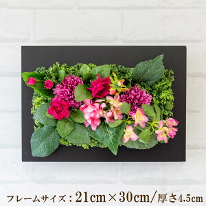 Ǌ|AW  EH[O[ tFCNO[ t[ ǖʗΉ EH[fR ǖ AW fBXvC CeA  XܑyPW205-CL-21x30-BK Ǌ|Ebht[