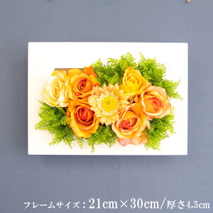 Ǌ|AW  EH[O[ tFCNO[ t[ ǖʗΉ EH[fR ǖ AW fBXvC CeA  XܑyPW283-CL-21x30-WH Ǌ|Ebht[