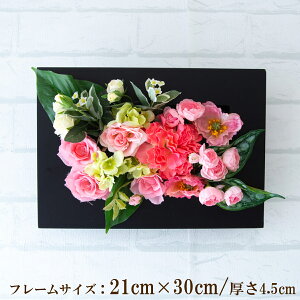 Ǌ|AW  EH[O[ tFCNO[ t[ ǖʗΉ EH[fR ǖ AW fBXvC CeA  XܑyPW297-CL-21x30-BK Ǌ|Ebht[