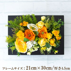 Ǌ|AW  EH[O[ tFCNO[ t[ ǖʗΉ EH[fR ǖ AW fBXvC CeA  XܑyPW298-CL-21x30-BK Ǌ|Ebht[