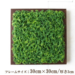 Ǌ|AW  EH[O[ tFCNO[ t[ ǖʗΉ EH[fR ǖ AW fBXvC CeA  XܑyPW315-ORI-30x30-BR Ǌ|Ebht[