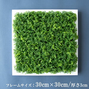 Ǌ|AW  EH[O[ tFCNO[ t[ ǖʗΉ EH[fR ǖ AW fBXvC CeA  XܑyPW315-ORI-30x30-WH Ǌ|Ebht[