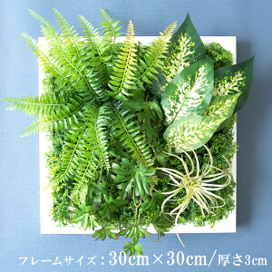 Ǌ|AW  EH[O[ tFCNO[ t[ ǖʗΉ EH[fR ǖ AW fBXvC CeA  XܑyPW316-ORI-30x30-WH Ǌ|Ebht[