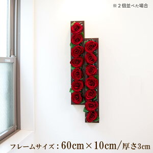 Ǌ|AW  EH[O[ tFCNO[ t[ ǖʗΉ EH[fR ǖ AW fBXvC CeA  XܑyPW327-ORI-60x10-BR Ǌ|Ebht[