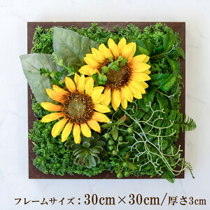 Ǌ|AW  EH[O[ tFCNO[ t[ ǖʗΉ EH[fR ǖ AW fBXvC CeA  XܑyPW334-ORI-30x30-BR Ǌ|Ebht[