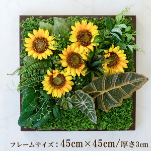 Ǌ|AW  EH[O[ tFCNO[ t[ ǖʗΉ EH[fR ǖ AW fBXvC CeA  XܑyPW335-ORI-45x45-BR Ǌ|Ebht[