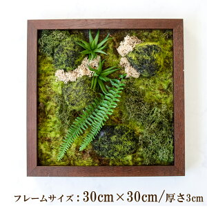 Ǌ|AW  EH[O[ tFCNO[ t[ ǖʗΉ EH[fR ǖ AW fBXvC CeA  XܑyPW339-ORI-30x30-BR Ǌ|Ebht[