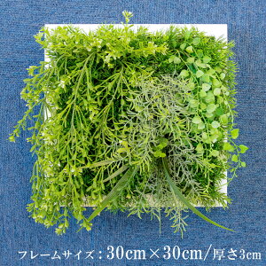 Ǌ|AW  EH[O[ tFCNO[ t[ ǖʗΉ EH[fR ǖ AW fBXvC CeA  XܑyPW342-ORI-30x30-WH Ǌ|Ebht[