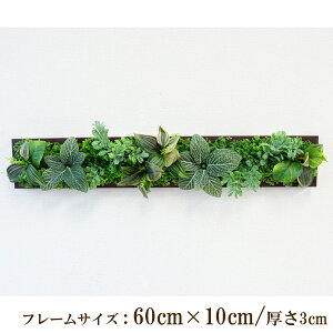 Ǌ|AW  EH[O[ tFCNO[ t[ ǖʗΉ EH[fR ǖ AW fBXvC CeA  XܑyPW348-ORI-60x10-BR Ǌ|Ebht[