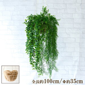 ԃnMOoXPbg/傫߃TCY/tFCNO[ nMO ݂艺 oXPbg ϗtA  CeA K[f|bg ݂蔫 A[gO[ CeA/PWA005-HANGBSK1 ({b