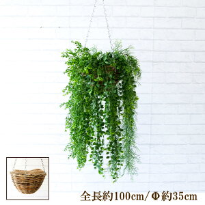観葉植物 ハンギングバスケットの人気商品 通販 価格比較 価格 Com 観葉植物 ハンギングバスケットの人気商品 通販 価格比較 価格 Com