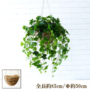 観葉植物 ハンギングバスケットの人気商品 通販 価格比較 価格 Com