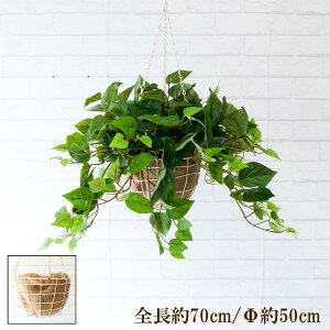 ԃnMOoXPbg/傫߃TCY/tFCNO[ nMO ݂艺 oXPbg ϗtA  CeA K[f|bg ݂蔫 A[gO[ CeA/PWA015-HANGBSK1 (|g