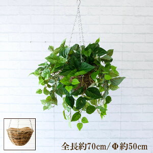 観葉植物 ハンギングバスケットの人気商品 通販 価格比較 価格 Com