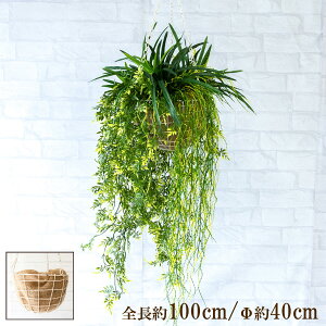 ԃnMOoXPbg/傫߃TCY/tFCNO[ nMO ݂艺 oXPbg ϗtA  CeA K[f|bg ݂蔫 A[gO[ CeA/PWA037-HANGBSK1 (W