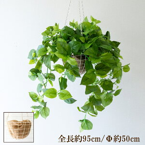 ԃnMOoXPbg/傫߃TCY/tFCNO[ nMO ݂艺 oXPbg ϗtA  CeA K[f|bg ݂蔫 A[gO[/PWA043-HANGBSK1 (XvO|g