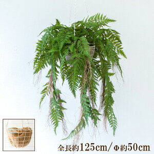 ԃnMOoXPbg/傫߃TCY/tFCNO[ nMO ݂艺 oXPbg ϗtA  CeA K[f|bg ݂蔫 A[gO[/PWA045-HANGBSK1 (U[t@[)