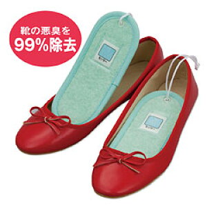 ���L�E�����C�p�V�[�g 10���g