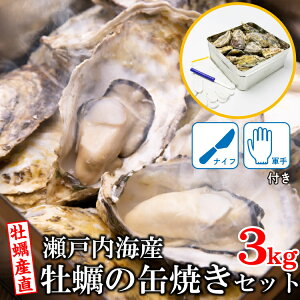 ˓Y ʏĂZbg 3kg  ⓀN[ Mtg  j Mtg  j a Ε
