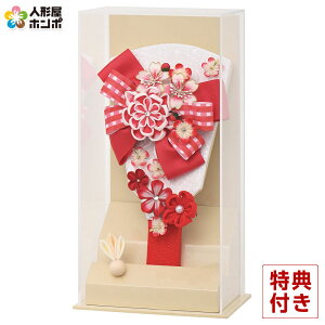 Hq P[X {JUViԁjHq 7 ₩ ItzCg ANP[X y2026NxVz h081-mm-hg2611-7