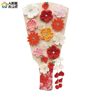 Hq Pi Ԕ 7 y2026NxVz h081-mm-hg2616-7