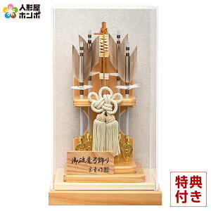 j| P[X  8 ANP[X y2026NxVz h081-mm-hm2609