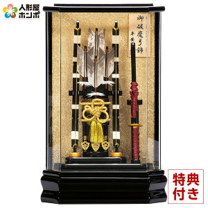 j| Lv P[X  12 ANP[X y2026NxVz h081-mo-101679 GH-013