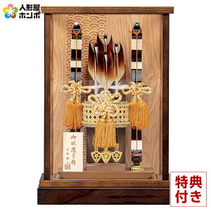 j| Lv P[X q 11 ANP[X y2026NxVz h081-mo-101709 GH-004