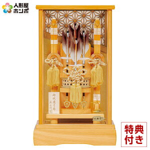 j| Lv P[X R  13 w y2026NxVz h081-mo-101720 GH-007