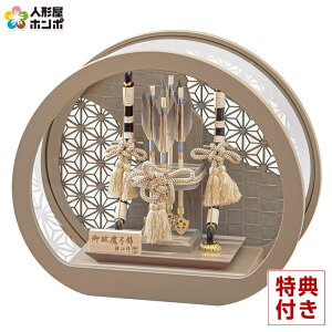 j| Lv P[X R  10 ANP[X y2026NxVz h081-mo-101763 GH-009