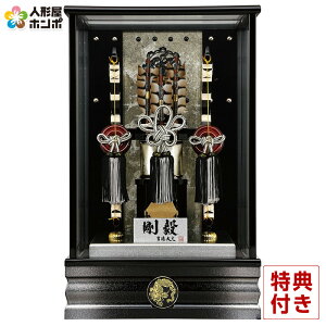 j| g P[X B 11 ڂP[X ʎKX Ɩ\ y2026NxVz h081-ys-210629