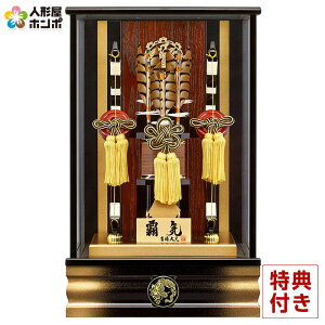 j| g P[X eC 11 ڂP[X ʎKX Ɩ\ y2026NxVz h081-ys-210662