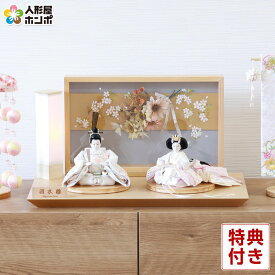 雛人形 コンパクト ひな人形 平飾り 親王飾り 羽衣雛 刺繍 京十四番親王 檜 【2026年度新作】 h083-fz-4m11-st-179