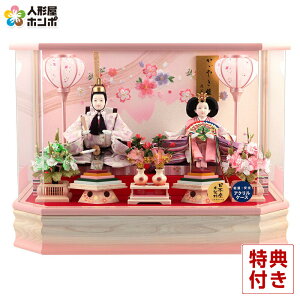 y50%OFFyVX[p[SALEzl` ЂȐl` P[X e   Oܐe ɏhJd XtXL[ ZpANP[X y2026NxVz h083-fn-213-250