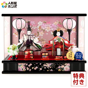 l` RpNg ЂȐl` P[X e   e Ed R[hXᓴ ANP[X y2026NxVz h083-fn-253-201-1