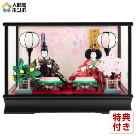 雛人形 コンパクト ひな人形 ケース飾り 親王飾り 藤翁作 紗季 小三五親王 金襴仕立 【2026年度新作】 h083-fn-233-238a