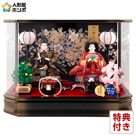 雛人形 ひな人形 ケース飾り 親王飾り 藤翁作 彩美 三五親王 金襴仕立 六角アクリルケース 【2026年度新作】 h083-fn-233-205