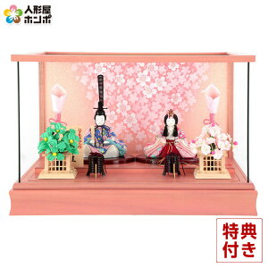 ���l�` �R���p�N�g ��G �ЂȐl�` �ؖڍ��l�`���� �P�[�X���� �e������ �ؑ���G�� ���R�� 1�� �y2026�N�x�V��z h083-ih-002