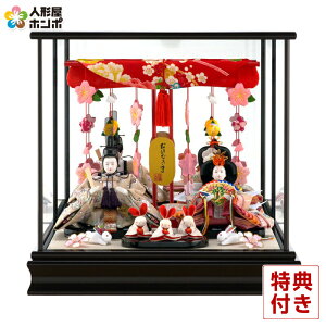 l` RpNg P[X IЂȐl` 䐗  h253-mi-ks-h312br P[X RpNg e P[X 킢 ЂȐl`  l  CeA ЂȍՂ