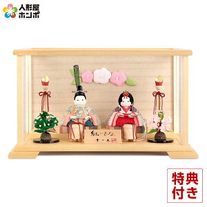 l` K RpNg ЂȐl` ؖڍl` P[X e Ђ y2026NxVz h053-mi-koi-1201