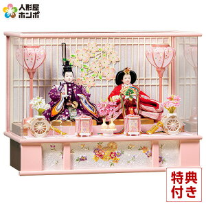 l` Lv ЂȐl` P[X e Ȃ Oܐe ANP[X y2026NxVz h083-mo-333729 HJ-220