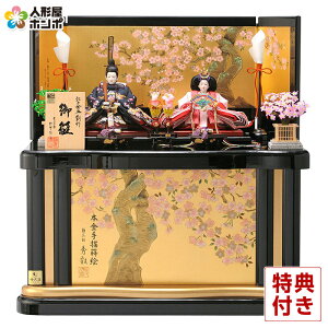 l` RpNg [ RF ]ˌÓTn 䐗 t Gb {`G h273-mocp-305520 RpNg[ e 킢 ЂȐl`   l