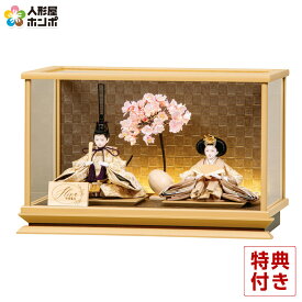 雛人形 コンパクト 平安豊久 ひな人形 ケース飾り 親王飾り 翠 芥子親王 アクリルケース LED付 【2026年度新作】 h083-mo-333790 HJ-206
