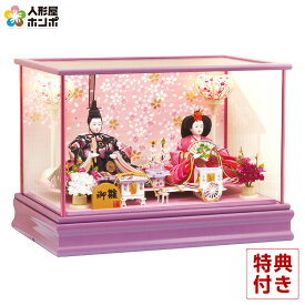 【在庫限り★先着クーポン】雛人形 コンパクト 平安豊久 ひな人形 ケース飾り 親王飾り 杏奈 小三五親王 【2026年度新作】 h283-mo-333447