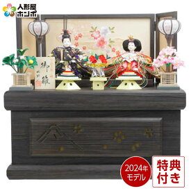 【先着★在庫限り8,360円OFFクーポン】雛人形 コンパクト 収納飾り 御雛 h243-aka-10-74 コンパクト収納飾り 親王飾り かわいい ひな人形 小さい お雛様 おしゃれ インテリア ひな祭り