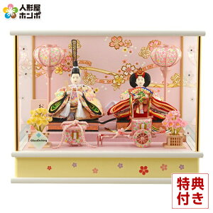 l` RpNg P[X ЂȂ Hql IS[t h273-wt-14-60 P[X RpNg e 킢 ЂȐl`   l