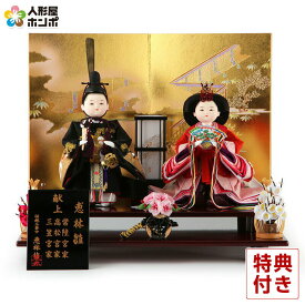 【先着★在庫限り49,600円OFFクーポン】雛人形 コンパクト ひな人形 雛 平飾り 親王飾り 立雛 恵林作 恵林雛 刺繍 【2026年度新作】 h313-kts-is1821